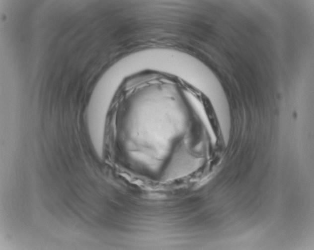 X0000081360180200701251958