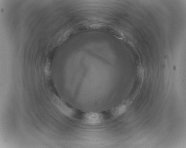X0000081360181200701251958