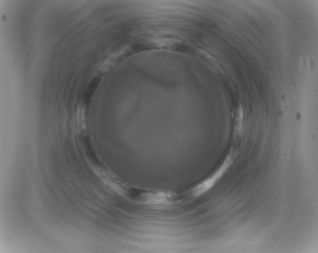 X0000081360182200701251958