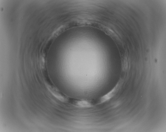 X0000081360183200701251958