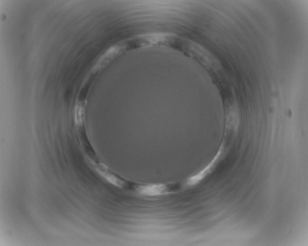 X0000081360191200701251958