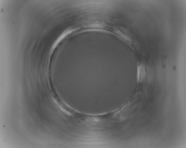 X0000081360195200701251957