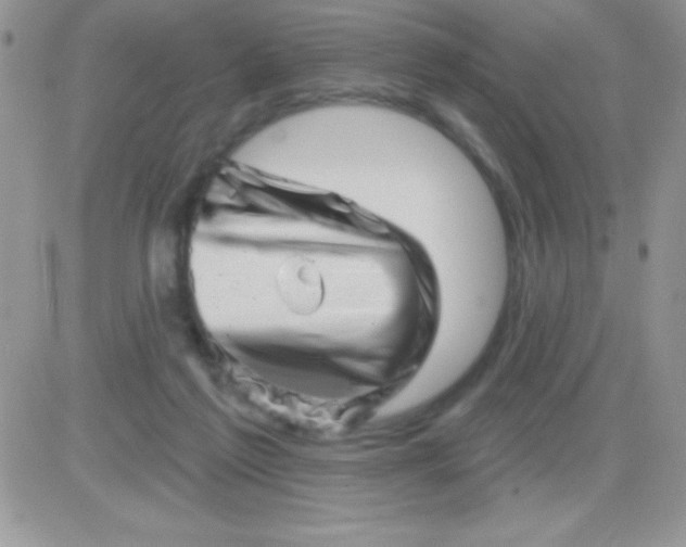 X0000081360213200701251957