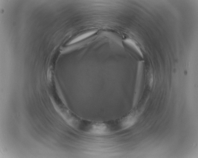 X0000081360214200701251957
