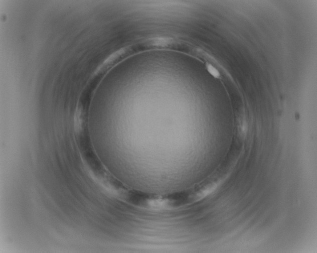 X0000081360216200701251957