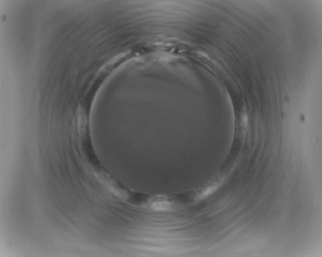 X0000081360228200701251957