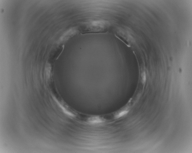 X0000081360231200701251957