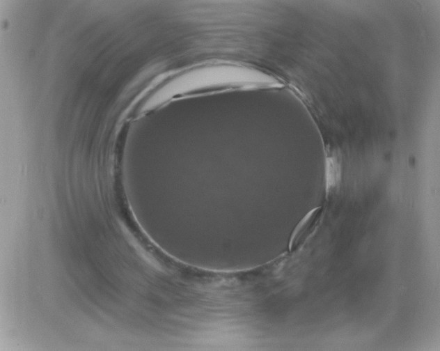 X0000081360243200701251956