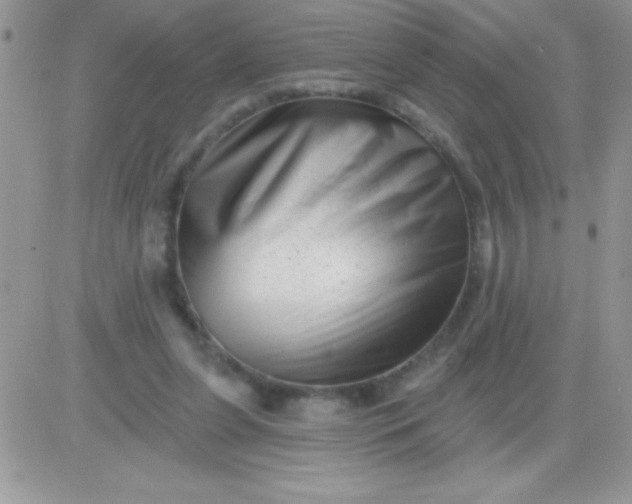 X0000081360255200701251956