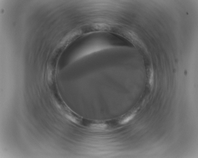 X0000081360266200701251956