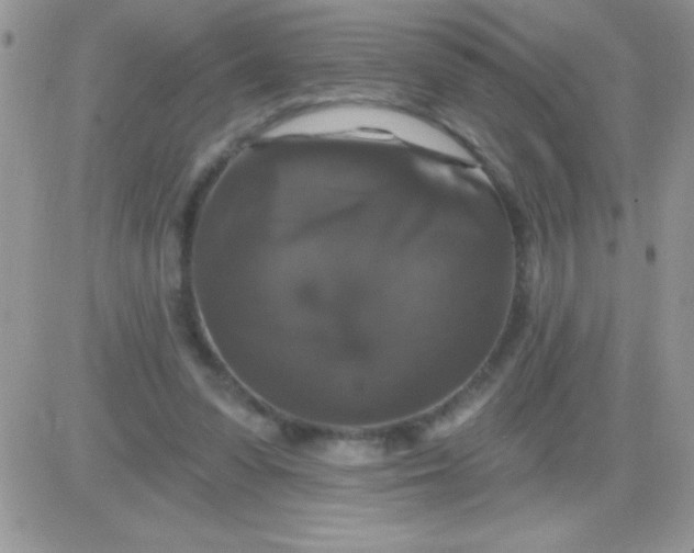 X0000081360303200701251956