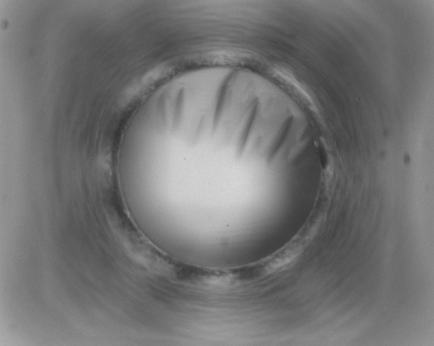 X0000081360306200701251955
