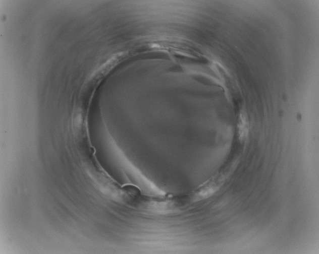 X0000081360314200701251955