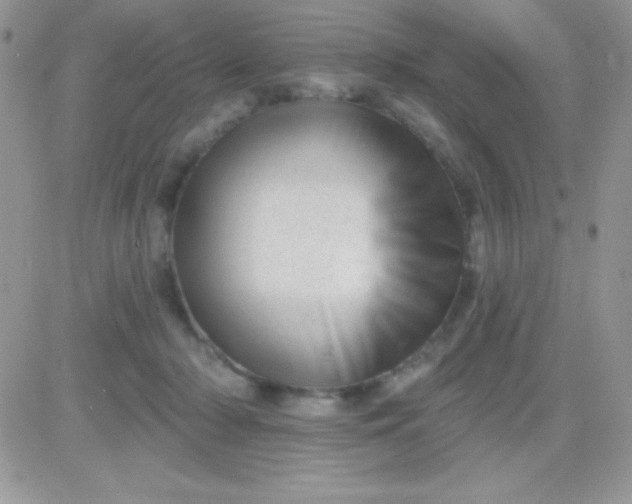 X0000081360318200701251955