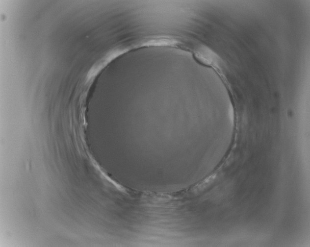 X0000081360337200701251954