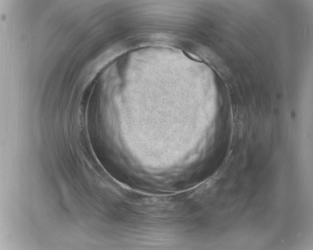 X0000081360338200701251954