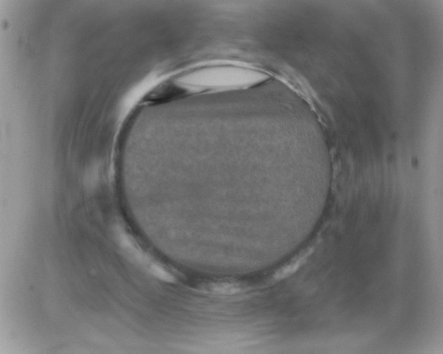 X0000081360344200701251954