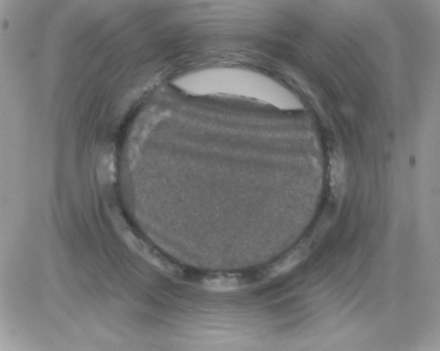 X0000081360362200701251955
