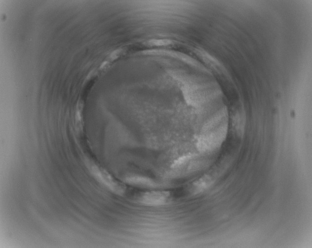 X0000081360373200701251955
