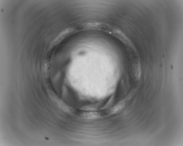X0000081360378200701251955