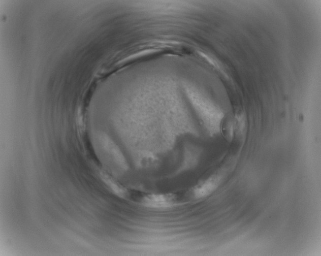 X0000081360381200701251955