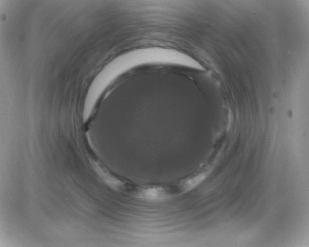 X0000081360382200701251955