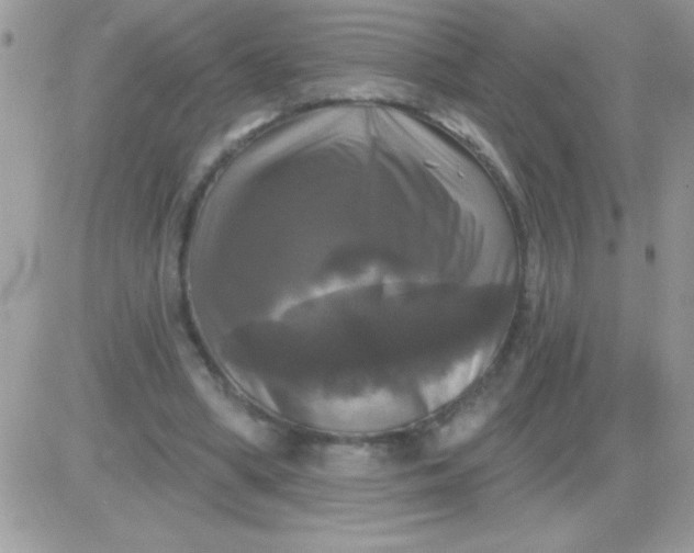 X0000081360394200701251954