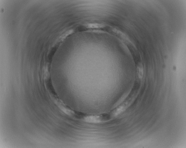 X0000081360422200701251954