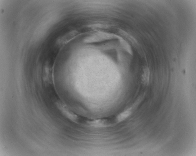 X0000081360430200701251953