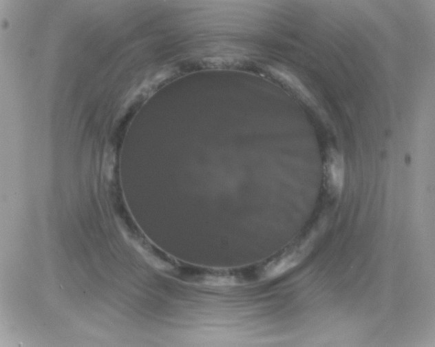X0000081360458200701251953