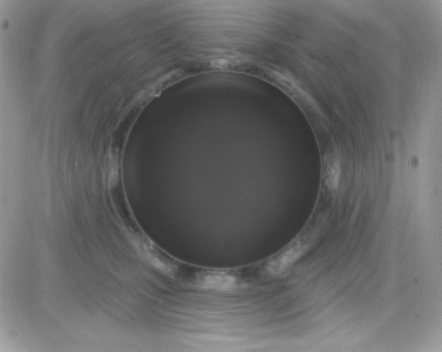 X0000081360471200701251953