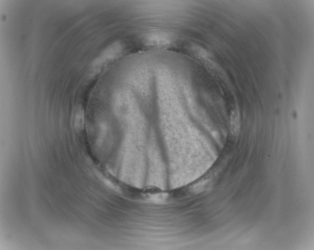 X0000081360474200701251953