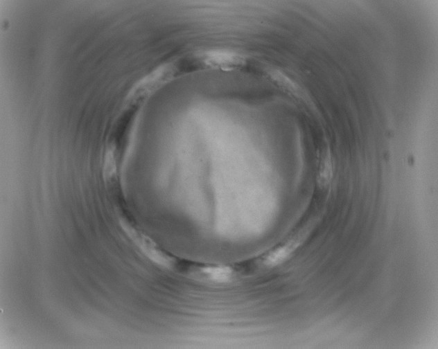 X0000081360478200701251953