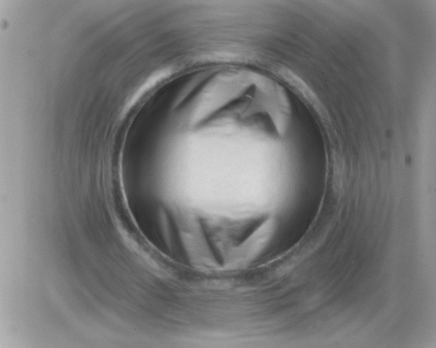 X0000081360482200701251953