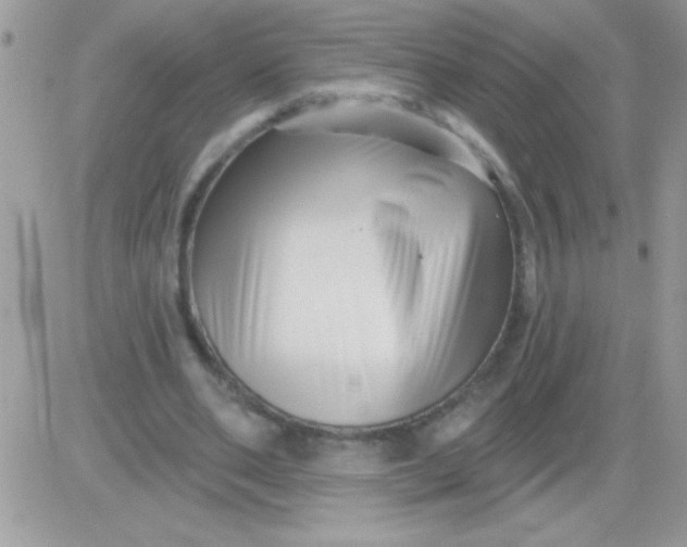 X0000081360486200701251953