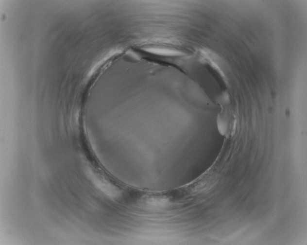 X0000081360491200701251953