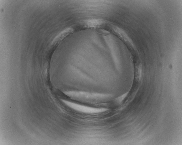 X0000081360505200701251952