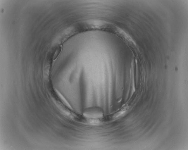 X0000081360509200701251952