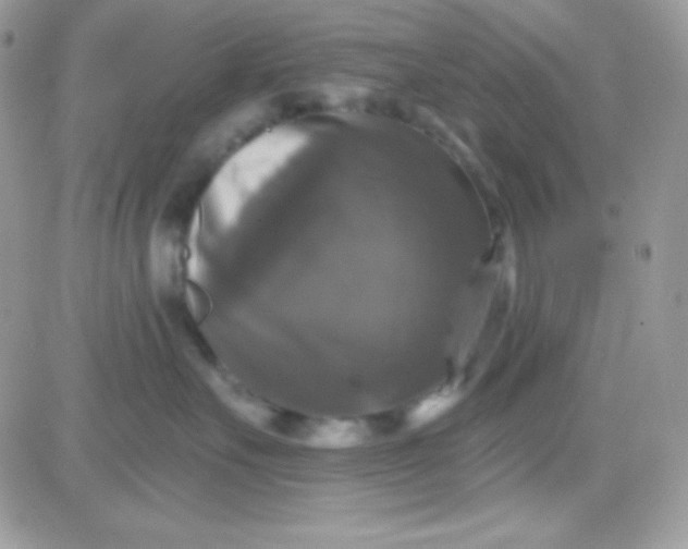 X0000081360527200701251952