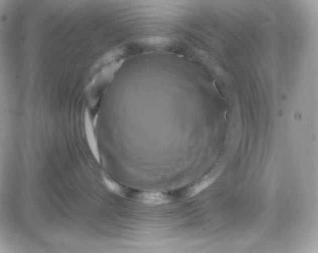 X0000081360528200701251952