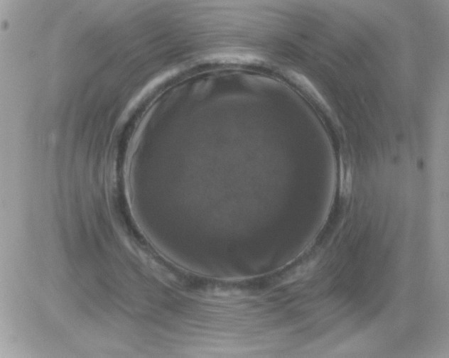 X0000081360531200701251951