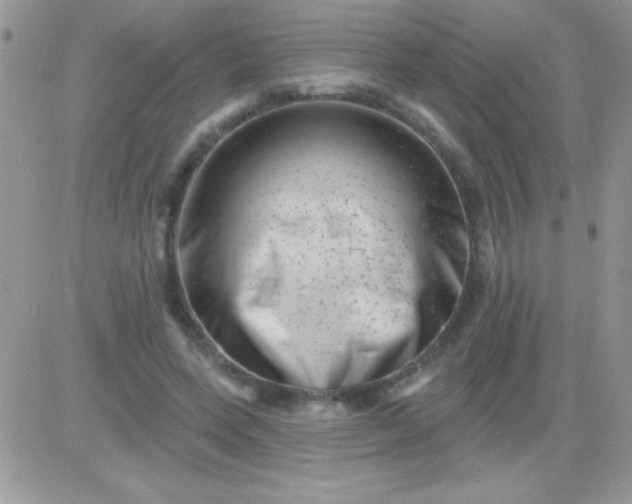 X0000081360543200701251951