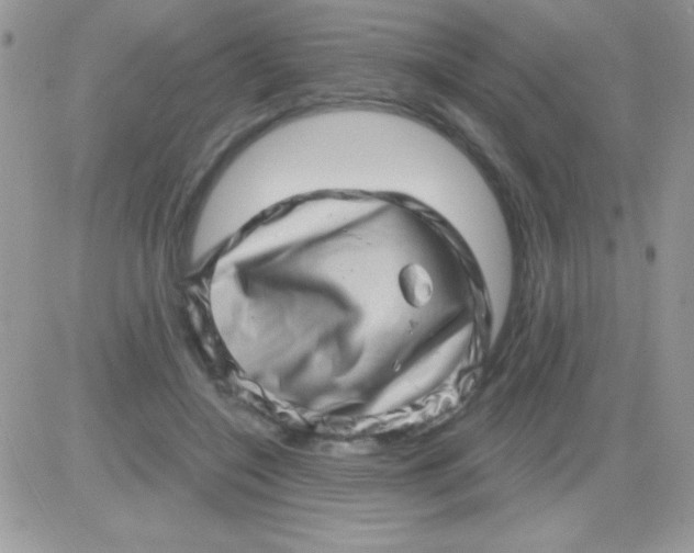 X0000081360548200701251951