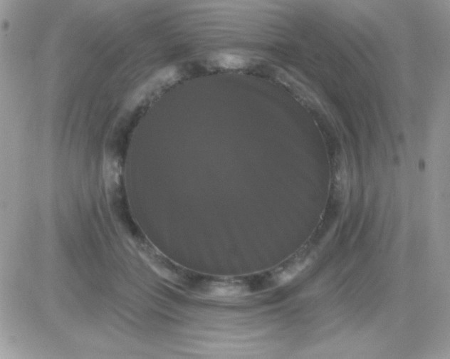 X0000081360555200701251952