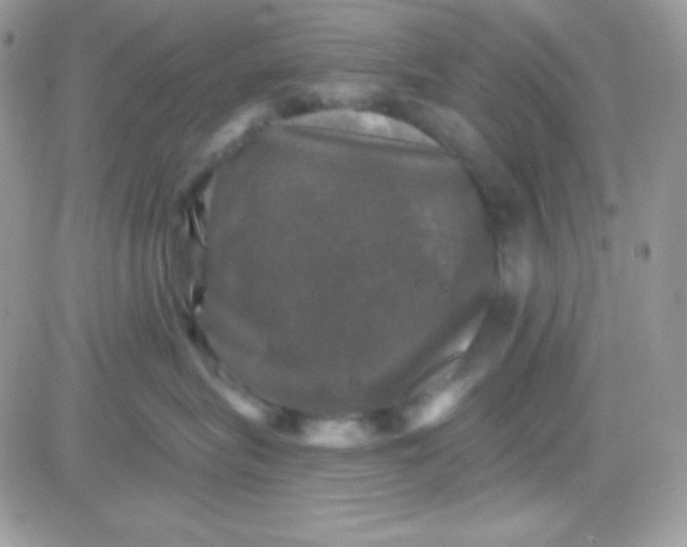 X0000081360575200701251952