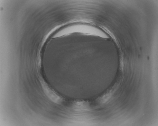 X0000081360584200701251951