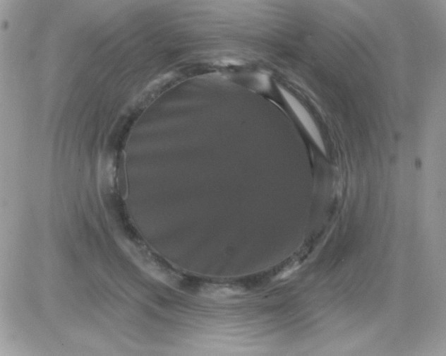 X0000081360597200701251951