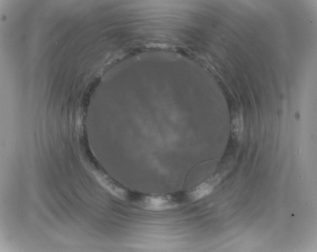 X0000081360662200701251950
