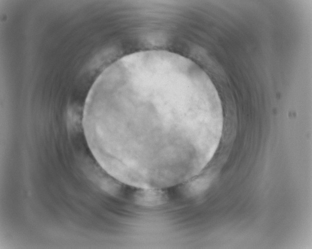 X0000081360672200701251950