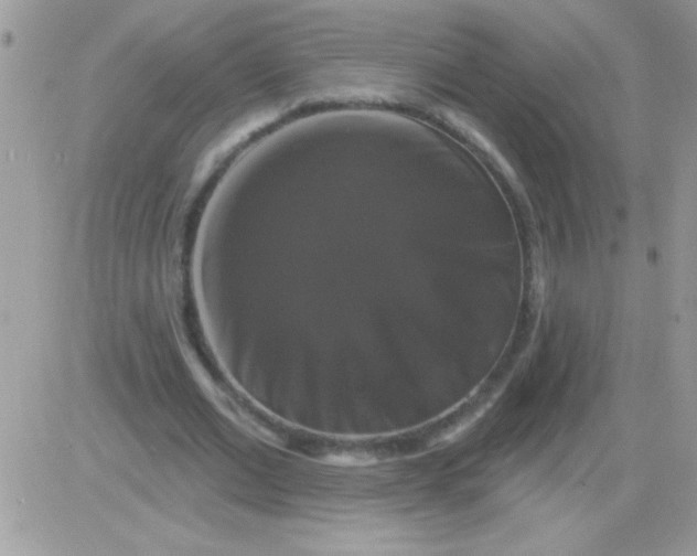 X0000081360677200701251949